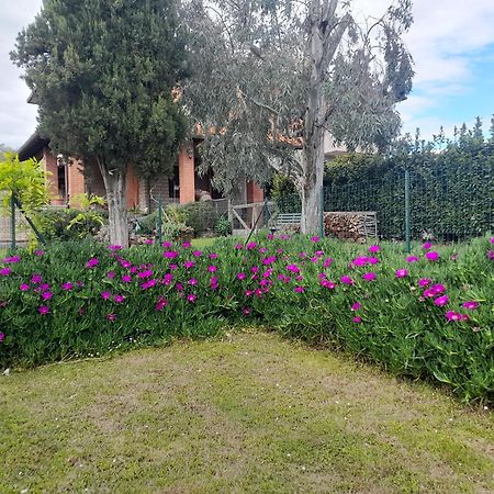 Agriturismo Santa Adriana Volterra Dış mekan fotoğraf