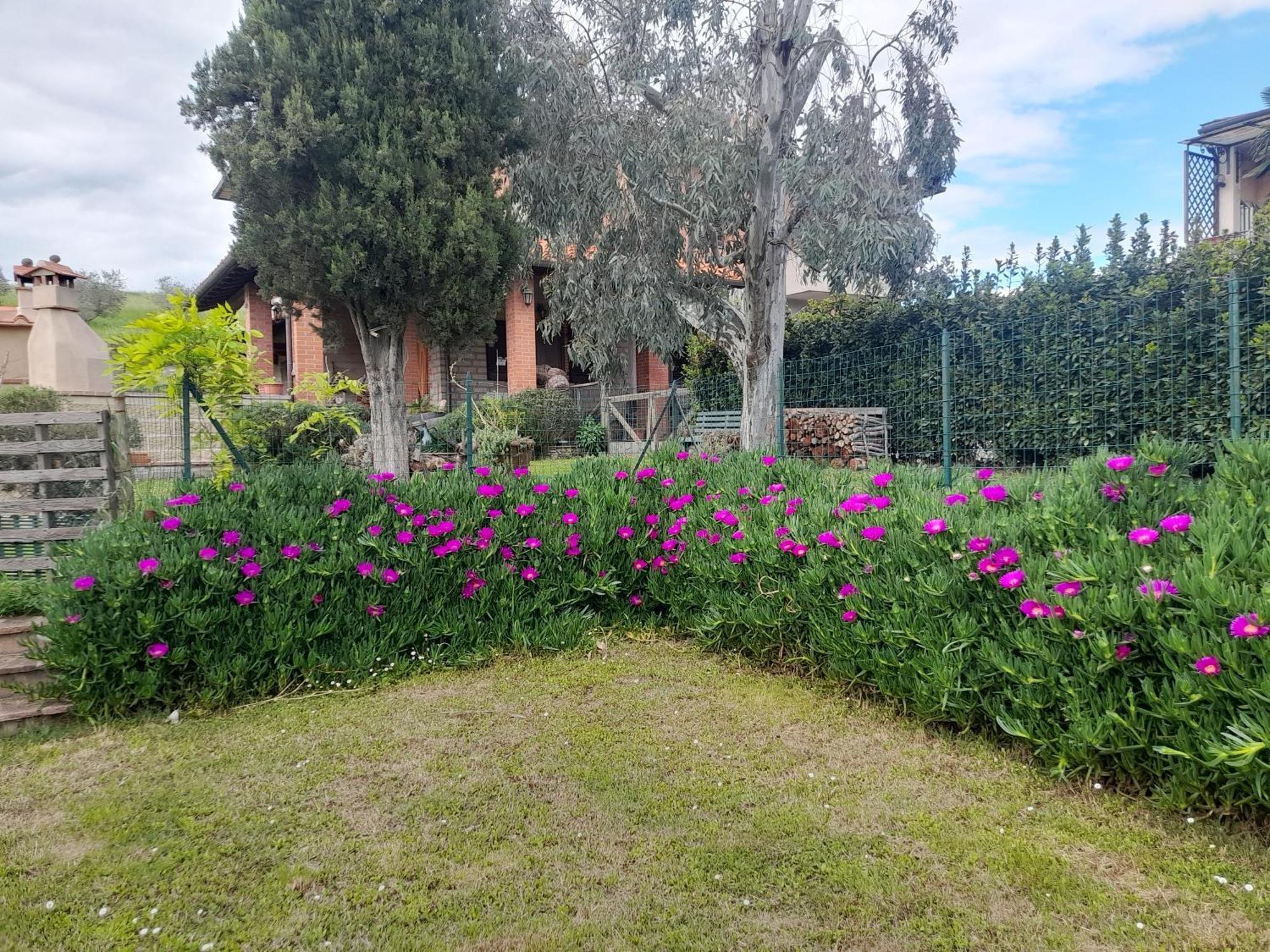 Agriturismo Santa Adriana Volterra Dış mekan fotoğraf